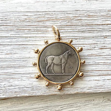 Load image into Gallery viewer, Coin Necklace French Medallion Jewelry
