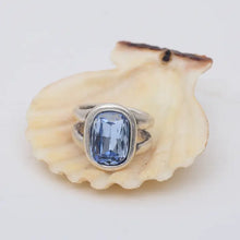 Load image into Gallery viewer, The Pool Crew
