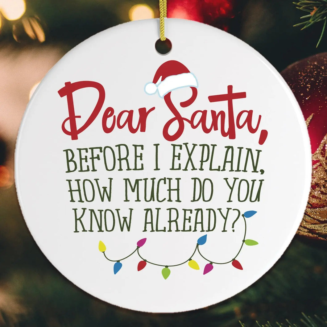 Ceramic Ornament - Funny Santa Quote
