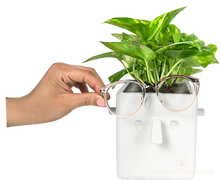 Load image into Gallery viewer, Face Plant Planter Home

